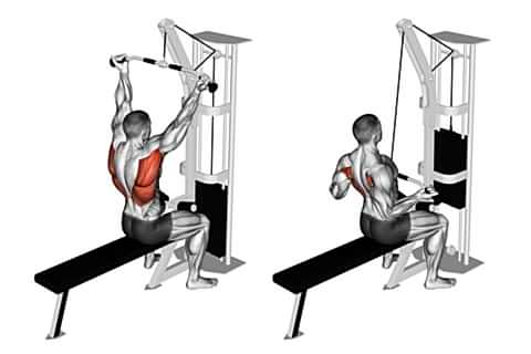 Reverse Grip Lat Pulldown