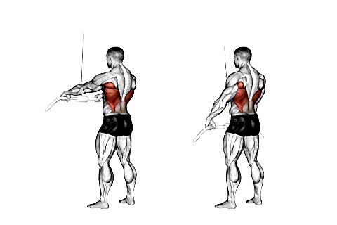 Reverse Tricep Pull-Downs